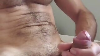 There more videos of him in my profile for you to check out.